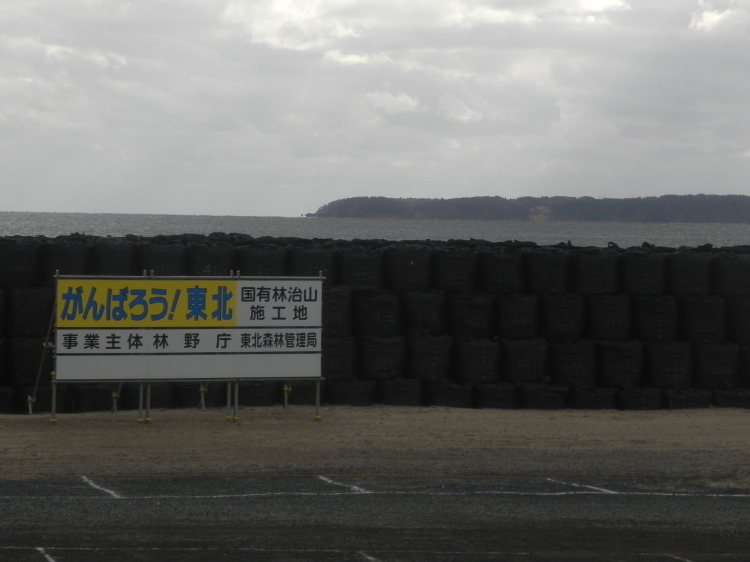 2011/12/1-2【宮城・岩手】東日本大震災の消えない残像　附、松島・瑞巌寺_b0116271_22341879.jpg