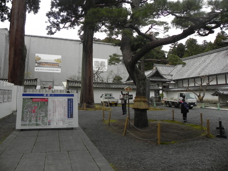 2011/12/1-2【宮城・岩手】東日本大震災の消えない残像　附、松島・瑞巌寺_b0116271_22491575.jpg