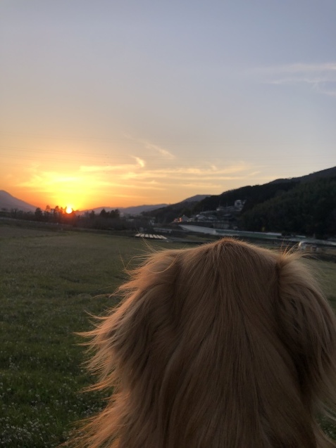 愛しの家計簿。_a0394574_23595285.jpeg