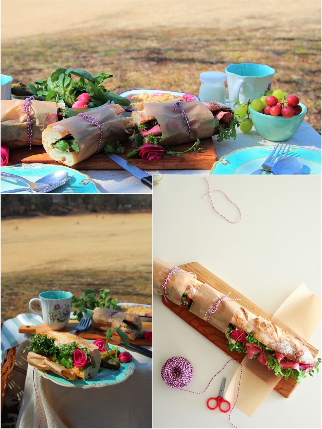 Sandwich Picnic_a0107981_09055003.jpg