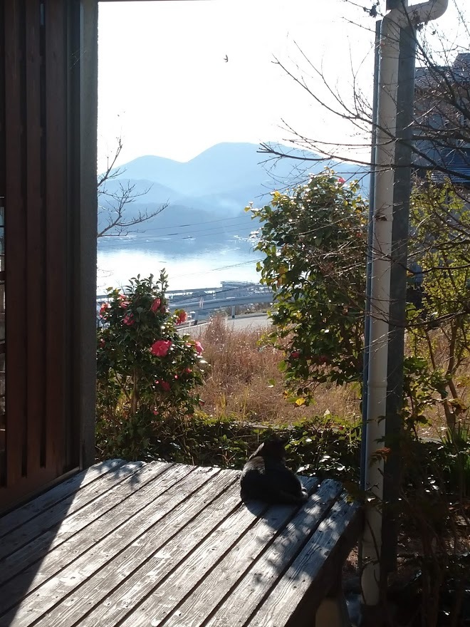 暖房が要らない日_f0197985_20341553.jpg