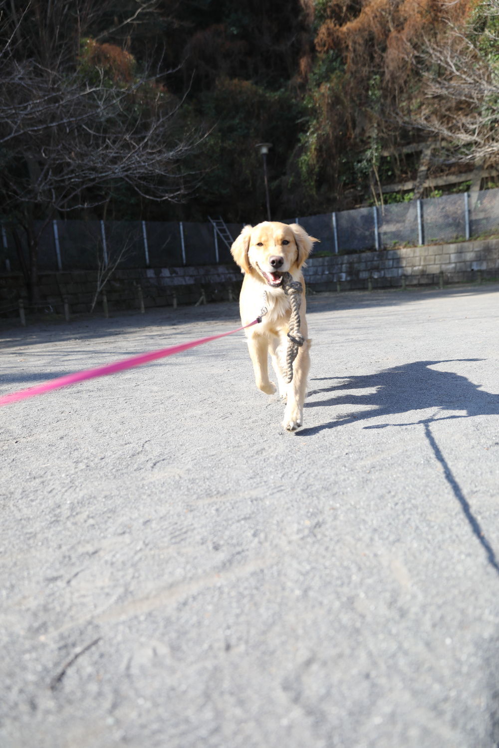 暖かい2月_b0275998_21430431.jpg