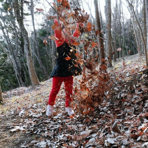農と自然のさんぽみち・やまだ農園日記