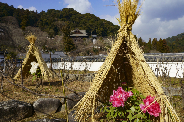 長谷寺_e0177413_12080951.jpg