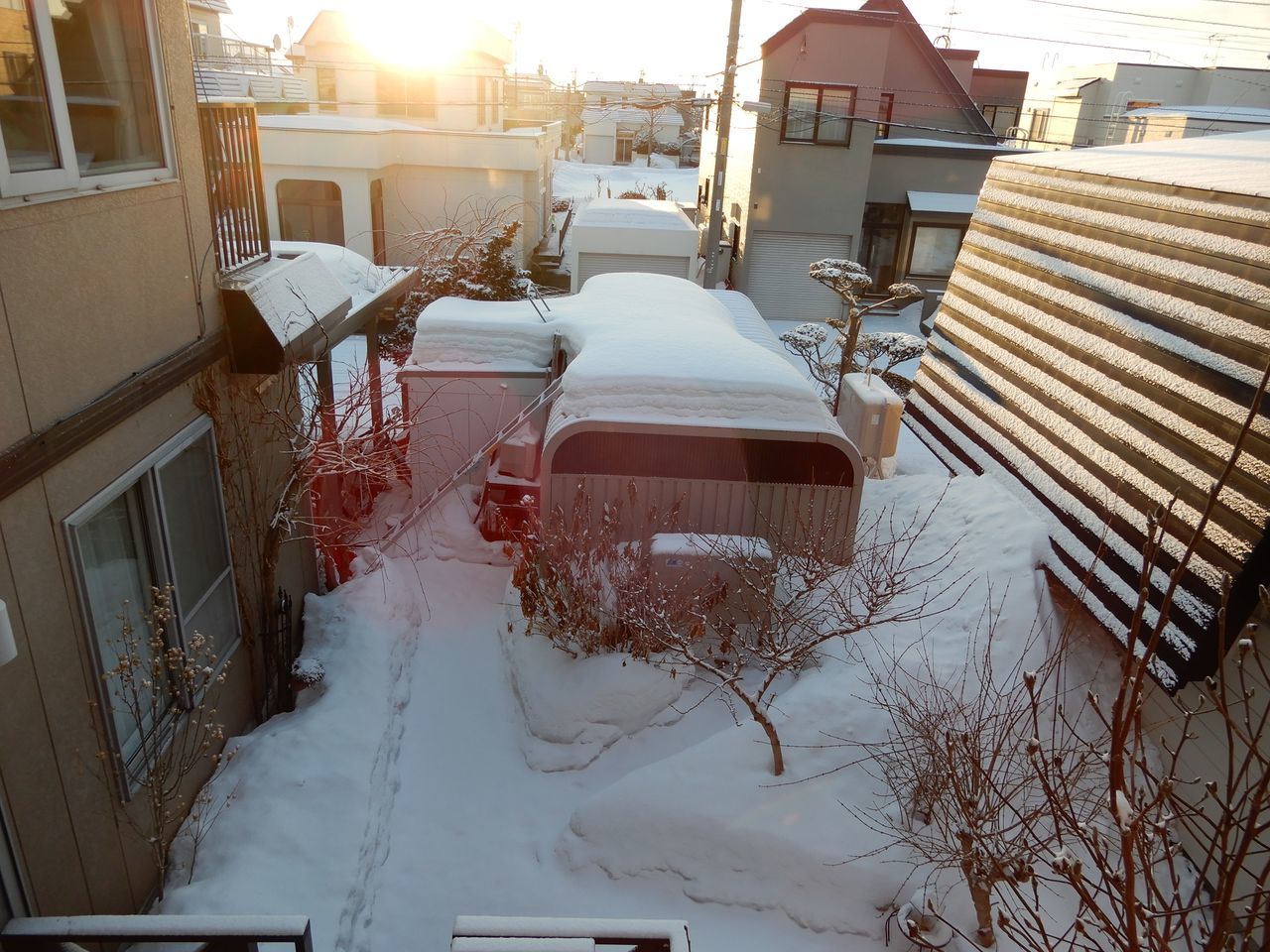 まぶしい朝_c0025115_20460183.jpg