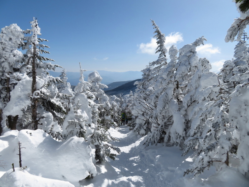 坪庭が美しい　北横岳 から  縞枯山 (2,403M) に向かう_d0170615_19501337.jpg