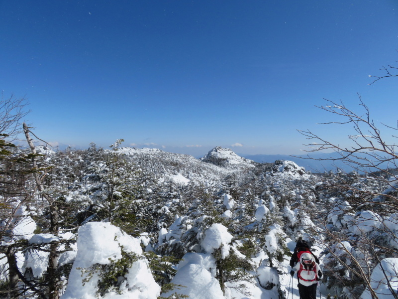 坪庭が美しい 北横岳 から 縞枯山 (2,403M) に向かう_d0170615_19505596.jpg