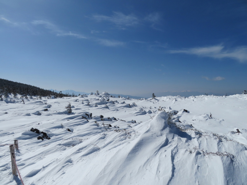 坪庭が美しい　北横岳 から  縞枯山 (2,403M) に向かう_d0170615_19512435.jpg