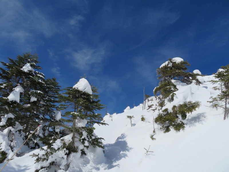 坪庭が美しい　北横岳 から  縞枯山 (2,403M) に向かう_d0170615_19513309.jpg