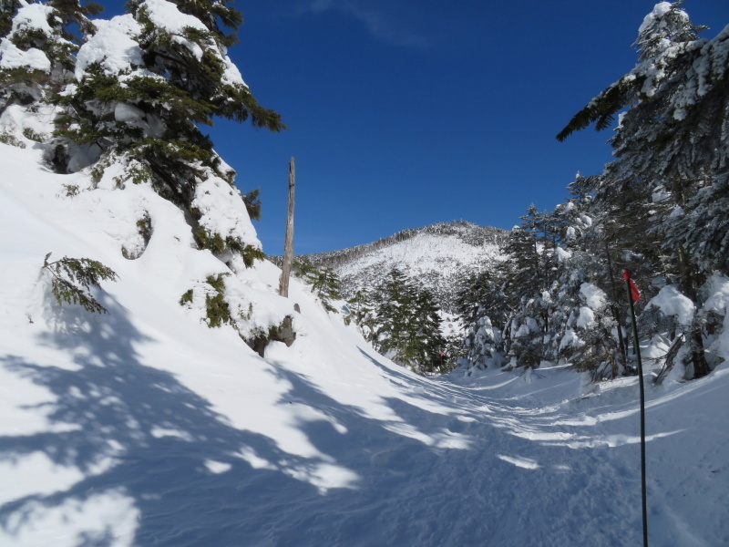 坪庭が美しい　北横岳 から  縞枯山 (2,403M) に向かう_d0170615_19514300.jpg