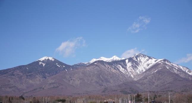 今日の訪問者 カワラヒワ_d0348118_16245614.jpeg