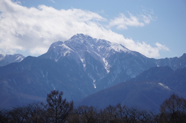 今日の訪問者 カワラヒワ_d0348118_16252288.jpeg