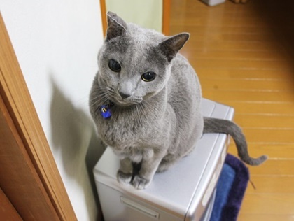いつまでも私のそばにいてね!_b0312424_15092222.jpg