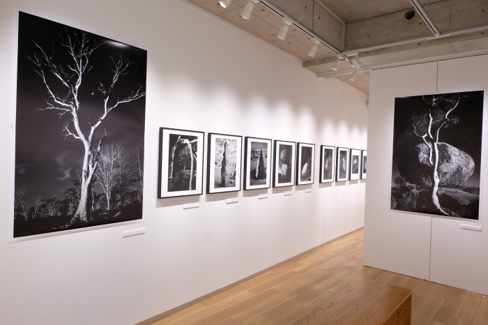写真展の終わりは写真展の始まり_f0050534_16365484.jpg
