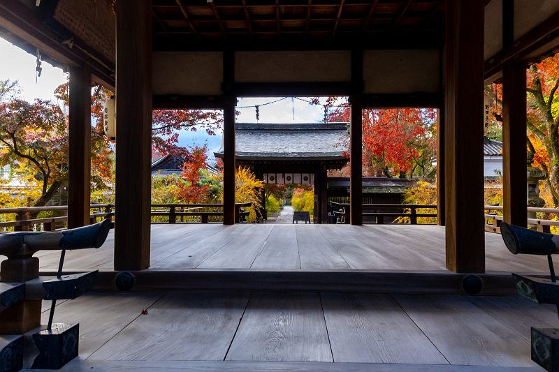 2020紅葉きらめく京都　晩秋（梨木神社・上御霊神社）_f0155048_23044537.jpg