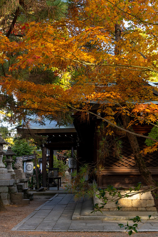 2020紅葉きらめく京都　晩秋（梨木神社・上御霊神社）_f0155048_23063839.jpg