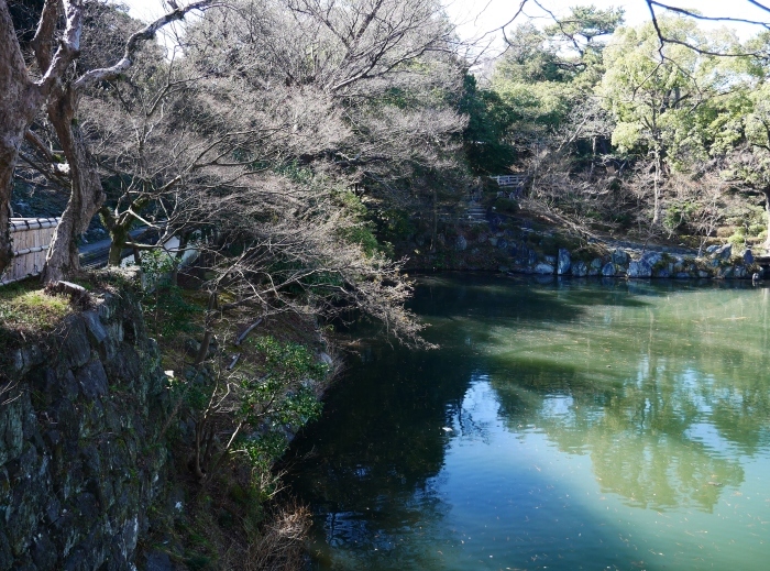 　　春待つ和歌山城北堀　　２０２１-０２-２５　００：００_b0093754_17420440.jpg