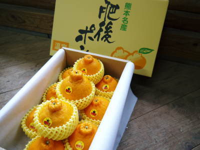 デコポン(肥後ポン)眠りから覚めた柑橘王!本日より令和3年の『不知火』の予約受付スタート!_a0254656_16425682.jpg