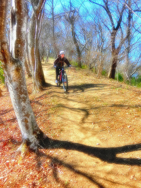 e-mountainbike dreamin XXXXXIX - 千代田アルプス Fantic Integra E-MTB Riders Club_b0049658_12591113.jpg