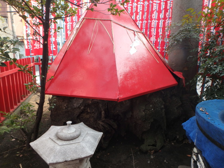 【悲しみの名所】日本枯名木あちこち〜最近から昔から【いにしえの香り】東京、川崎、鎌倉、京都、奈良、高知、愛媛、西表島、東北_b0116271_18333195.jpg