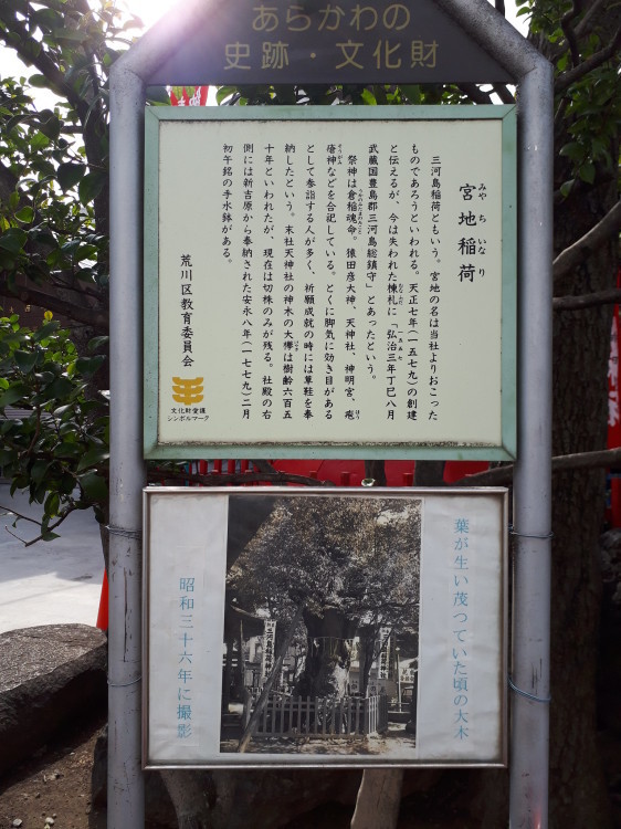 【悲しみの名所】日本枯名木あちこち〜最近から昔から【いにしえの香り】東京、川崎、鎌倉、京都、奈良、高知、愛媛、西表島、東北_b0116271_18333253.jpg