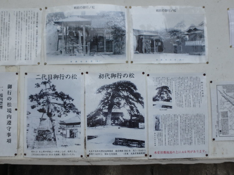 【悲しみの名所】日本枯名木あちこち〜最近から昔から【いにしえの香り】東京、川崎、鎌倉、京都、奈良、高知、愛媛、西表島、東北_b0116271_20585640.jpg