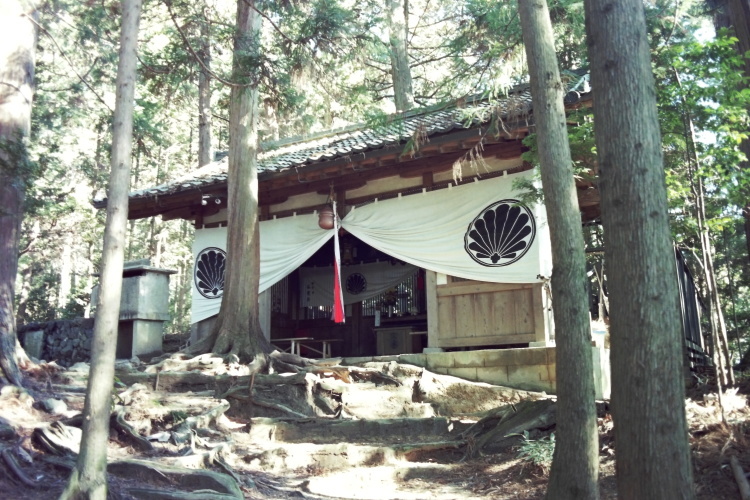 【悲しみの名所】日本枯名木あちこち〜最近から昔から【いにしえの香り】東京、川崎、鎌倉、京都、奈良、高知、愛媛、西表島、東北_b0116271_22101607.jpg