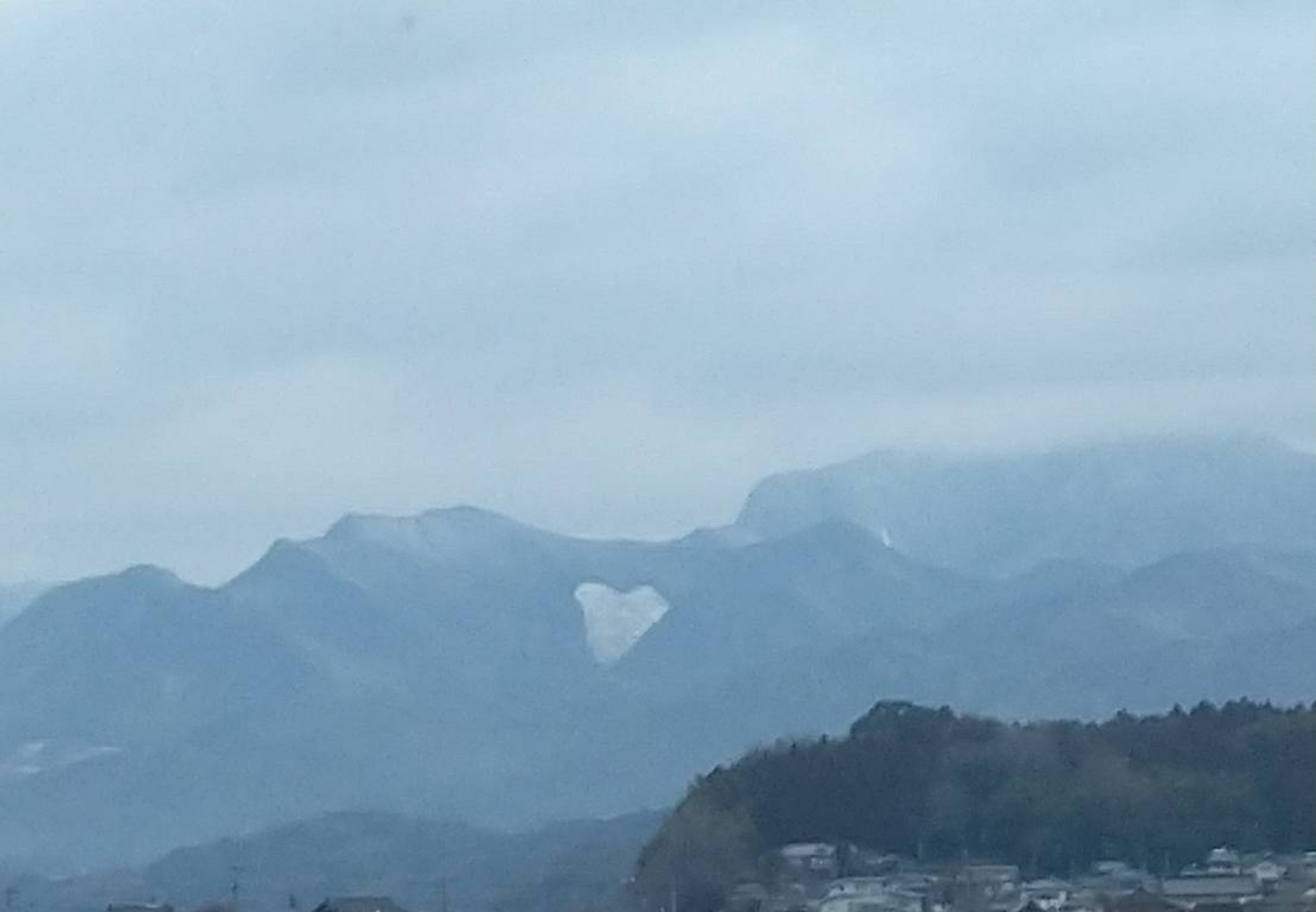 ホワイトハート***_e0290872_15054643.jpg
