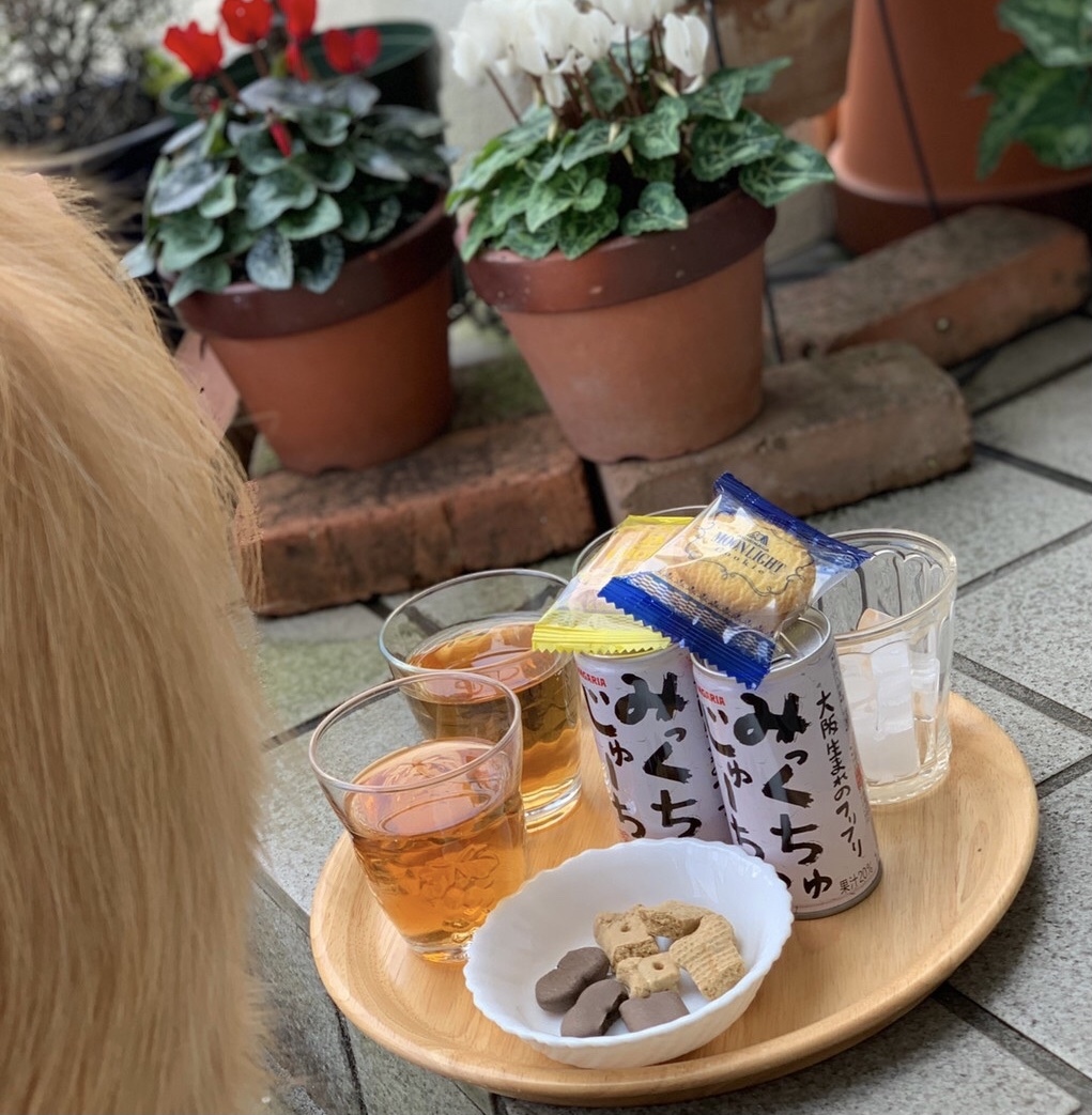 天皇誕生日。（剪定と焚き火とボールと）_a0394574_14374153.jpeg
