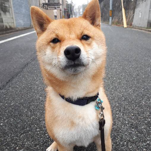 雪〜☃️_f0357682_10492271.jpg