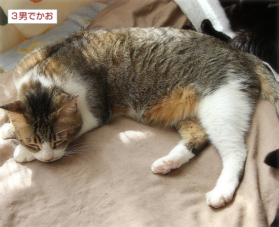 休みだった!_a0389088_15241253.jpg