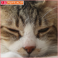 休みだった!_a0389088_15241388.jpg