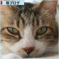 休みだった!_a0389088_15241389.jpg