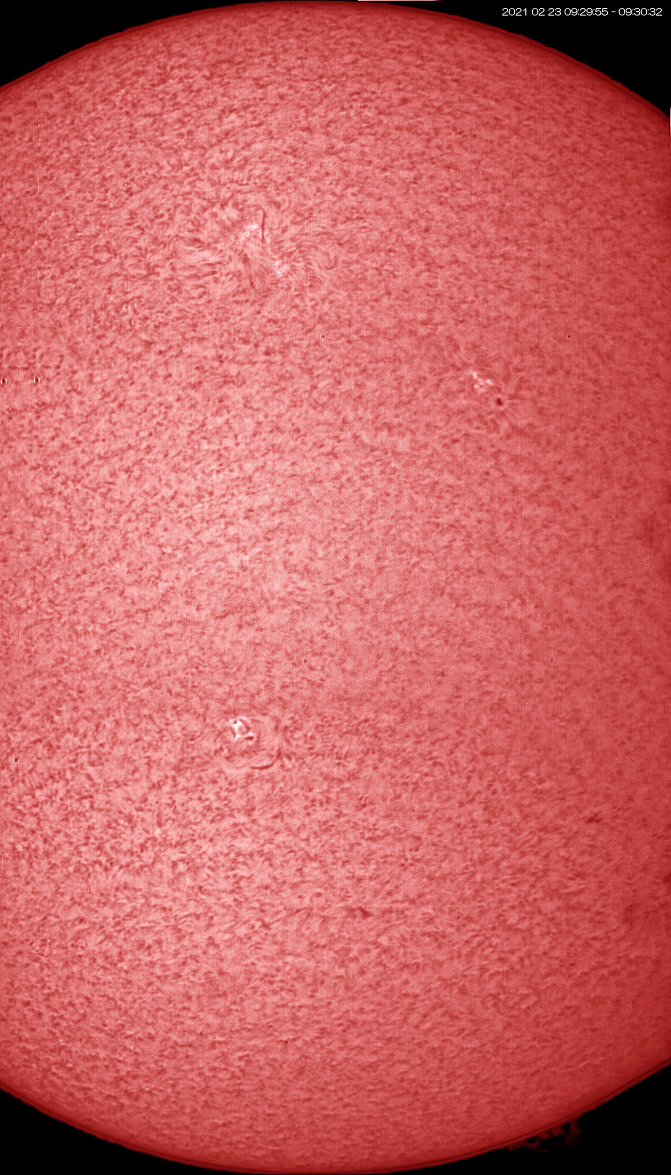 2月23日の太陽 黒点群が二つも!_e0174091_13103429.jpg