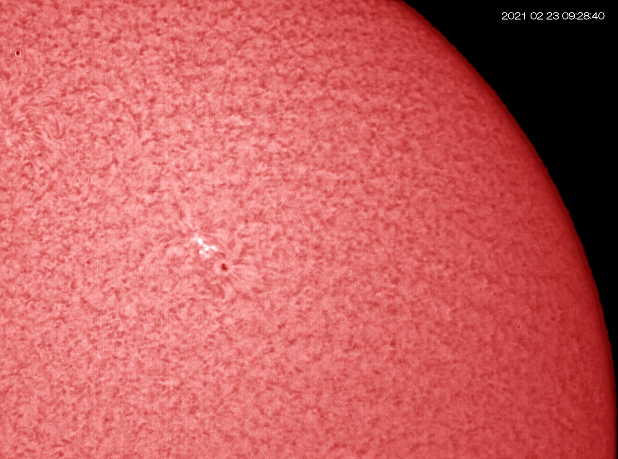 2月23日の太陽 黒点群が二つも!_e0174091_13103872.jpg