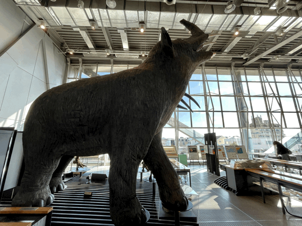 仙台市科学館で見つけた シオガマゾウ です ペンギンの足跡 仙台市科学館で見つけた シオガマゾウ です ペンギンの足跡