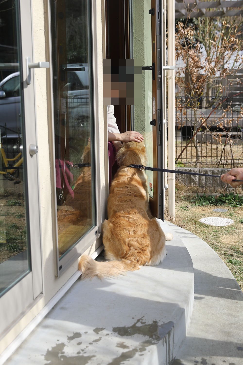 アンちゃんが遊びに来てくれたよ♪_b0275998_22465656.jpg