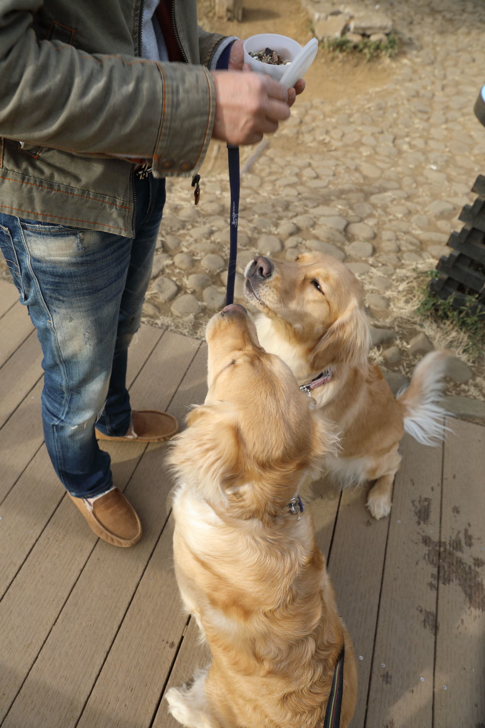 アンちゃんが遊びに来てくれたよ♪_b0275998_23082946.jpg