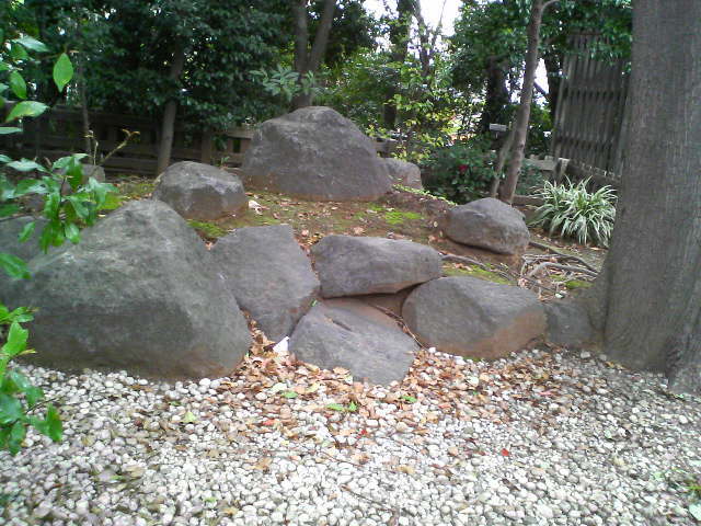 2008【春のフォトグラフ】花が咲いたら日記~多摩川土手・洗足池お花見、お台場、赤坂、ポリス再結成ツアーとサイン会、池上、野毛、高崎、深大寺【病気療養クローラー高松まで行く】_b0116271_00564806.jpg