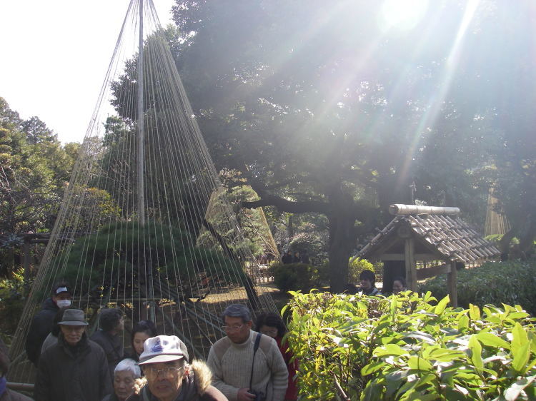 2008【春のフォトグラフ】花が咲いたら日記~多摩川土手・洗足池お花見、お台場、赤坂、ポリス再結成ツアーとサイン会、池上、野毛、高崎、深大寺【病気療養クローラー高松まで行く】_b0116271_01323600.jpg