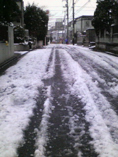 2008【春のフォトグラフ】花が咲いたら日記~多摩川土手・洗足池お花見、お台場、赤坂、ポリス再結成ツアーとサイン会、池上、野毛、高崎、深大寺【病気療養クローラー高松まで行く】_b0116271_11351740.jpg