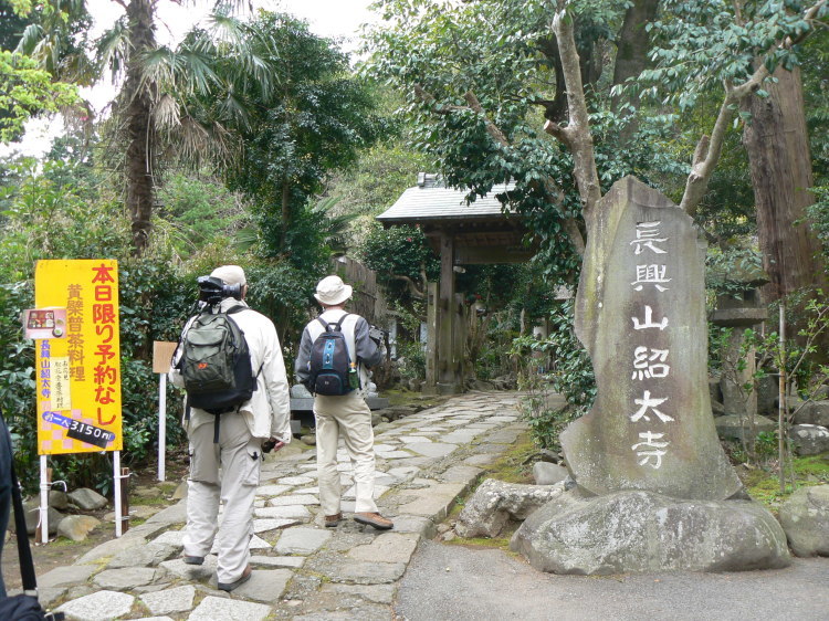 2007/3/31【神奈川県小田原花見】幽邃の長興山しだれ桜と玉宝寺五百羅漢【春日局の小田原墓】_b0116271_20365110.jpg