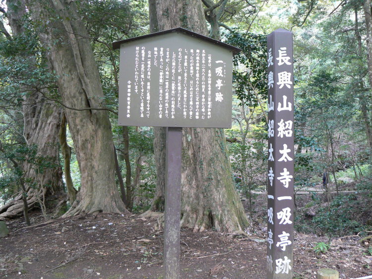 2007/3/31【神奈川県小田原花見】幽邃の長興山しだれ桜と玉宝寺五百羅漢【春日局の小田原墓】_b0116271_21025628.jpg
