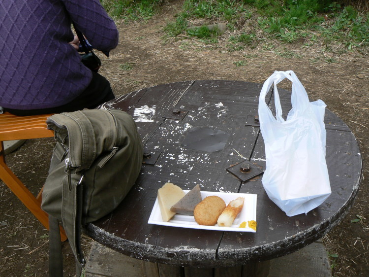2007/3/31【神奈川県小田原花見】幽邃の長興山しだれ桜と玉宝寺五百羅漢【春日局の小田原墓】_b0116271_21083725.jpg