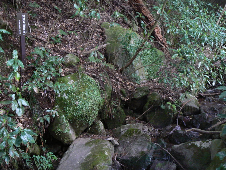2007/3/31【神奈川県小田原花見】幽邃の長興山しだれ桜と玉宝寺五百羅漢【春日局の小田原墓】_b0116271_21174365.jpg
