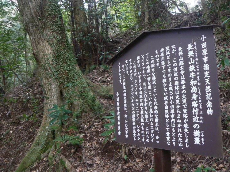 2007/3/31【神奈川県小田原花見】幽邃の長興山しだれ桜と玉宝寺五百羅漢【春日局の小田原墓】_b0116271_21174477.jpg