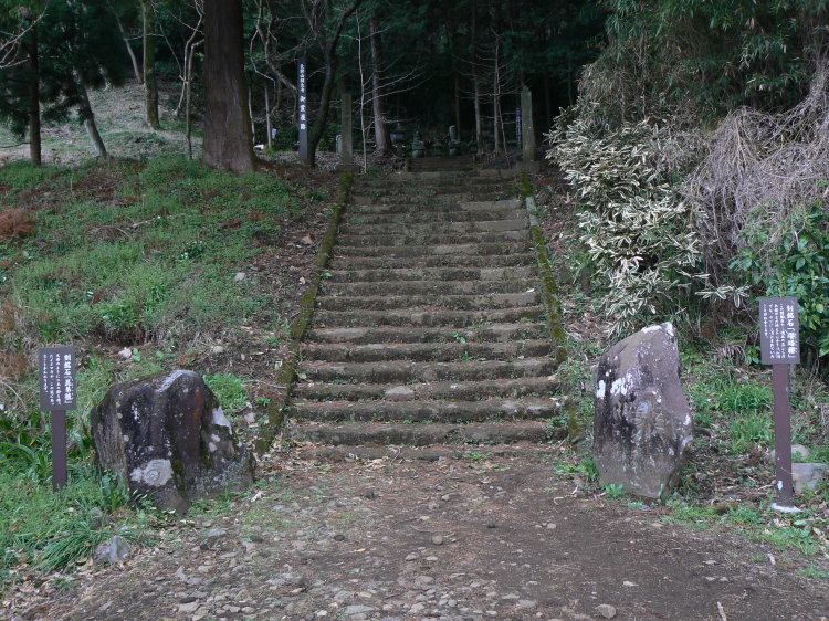 2007/3/31【神奈川県小田原花見】幽邃の長興山しだれ桜と玉宝寺五百羅漢【春日局の小田原墓】_b0116271_21232528.jpg