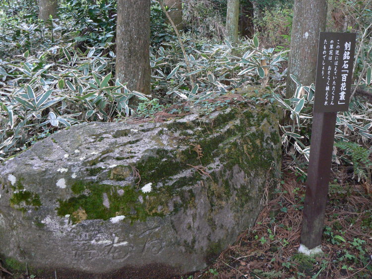 2007/3/31【神奈川県小田原花見】幽邃の長興山しだれ桜と玉宝寺五百羅漢【春日局の小田原墓】_b0116271_21232797.jpg