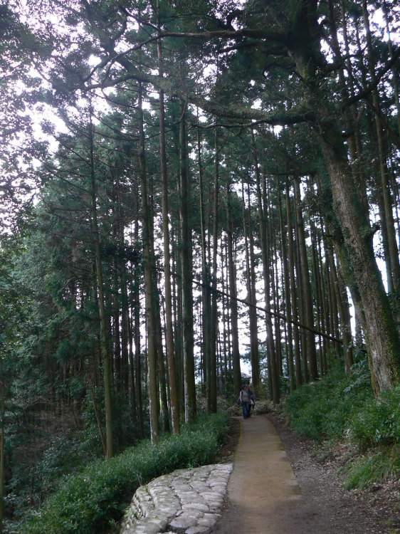 2007/3/31【神奈川県小田原花見】幽邃の長興山しだれ桜と玉宝寺五百羅漢【春日局の小田原墓】_b0116271_21234890.jpg