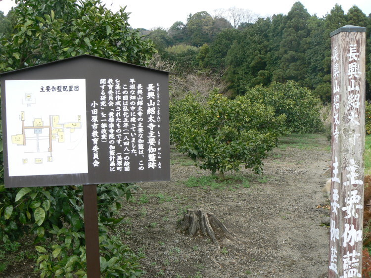 2007/3/31【神奈川県小田原花見】幽邃の長興山しだれ桜と玉宝寺五百羅漢【春日局の小田原墓】_b0116271_21294518.jpg